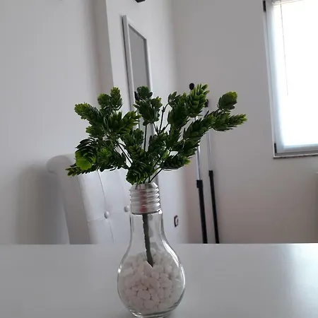 Dunja Ns 2 Novi Sad