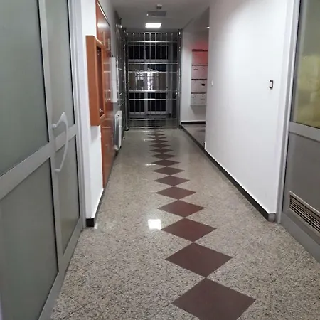 Apartment Dunja Ns 2